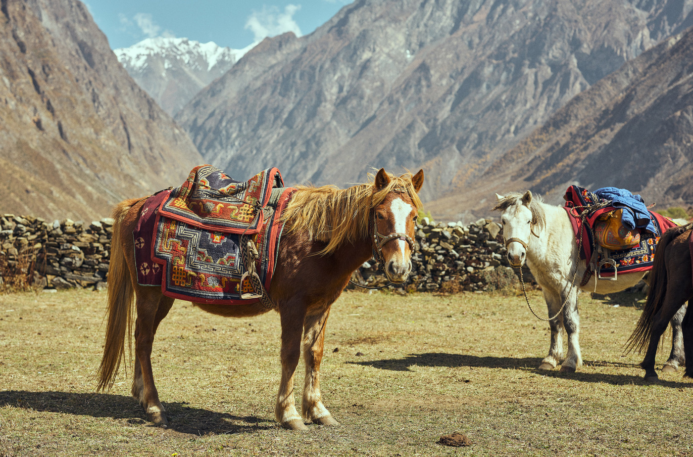 Trek with Purpose, Tsum Valley &mdash; photo 19